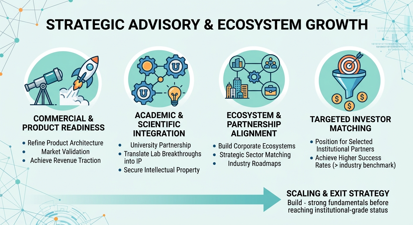 Strategic Advisory Beyond Traditional Venture Capital for Scale-Ups and Research Spin-Outs Yemen